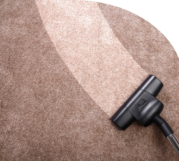 Limpeza de Tapete Biolimpe