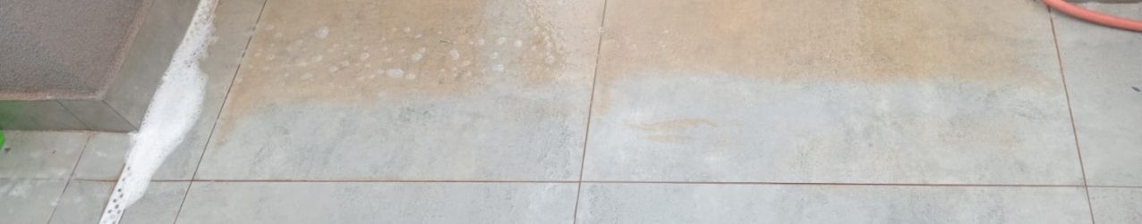 Serviços profissionais de limpeza Biolimp