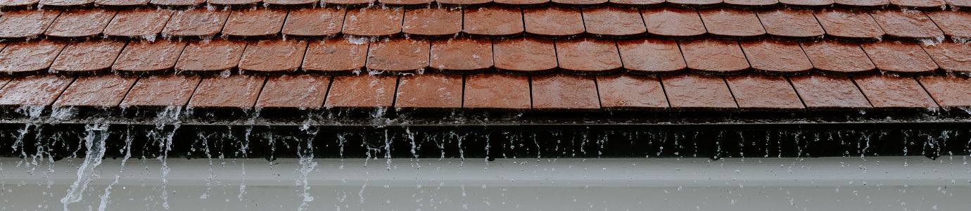 Serviços de limpeza e impermeabilização da Biolimp